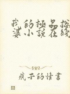 我的极品总裁老婆小说在线阅读