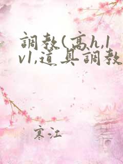 调教(高h,1v1,道具调教)