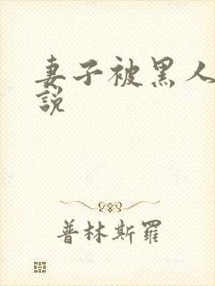 妻子被黑人奸小说