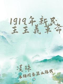 1919年新民主主义革命