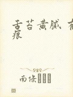 舌苔黄腻 有齿痕