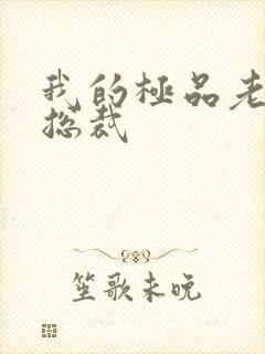 我的极品老婆是总裁