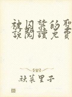 被囚禁的圣女小说阅读免费