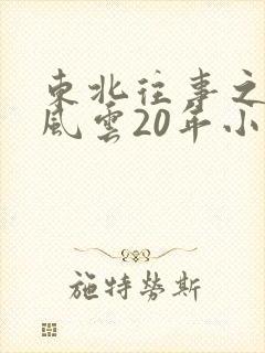 东北往事之黑道风云20年小说在线阅读无弹窗
