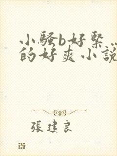 小骚b好紧…日的好爽小说