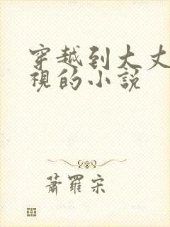 穿越到大丈夫影视的小说