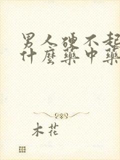 男人硬不起来吃什么药中药