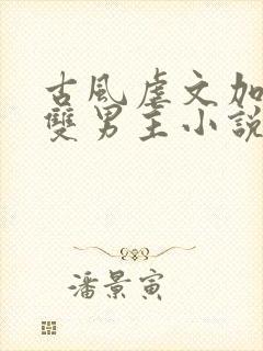 古风虐文加虐身双男主小说