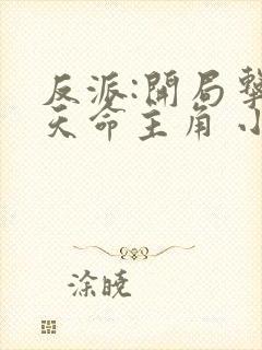 反派:开局击杀天命主角 小说