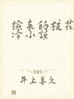 捡来的校花不太冷小说