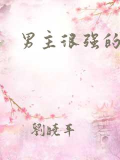 男主很强的小说