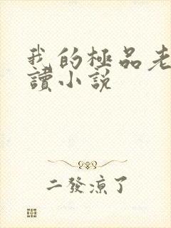 我的极品老婆阅读小说