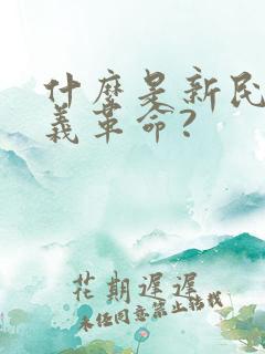 什么是新民主主义革命?