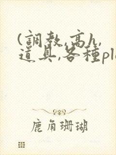 (调教,高h,道具,各种play)文