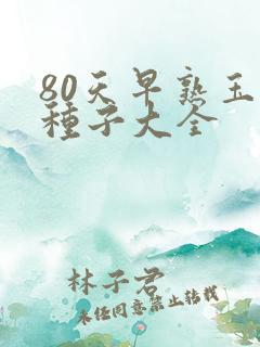 80天早熟玉米种子大全