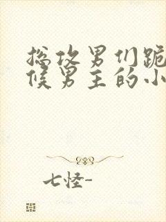 总攻男们跪着伺候男主的小说