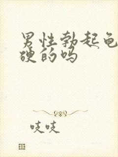 男性勃起龟头是硬的吗