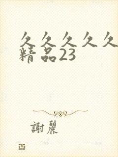 久久久久久综合精品23