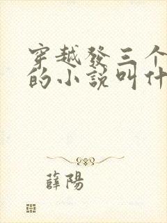 穿越发三个老婆的小说叫什么