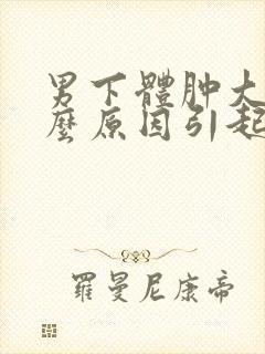 男下体肿大是什么原因引起的呢