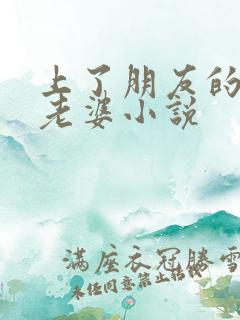 上了朋友的娇妻老婆小说