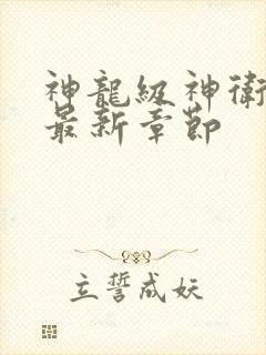 神龙级神卫沈浪最新章节