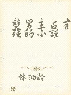 双男主占有欲很强的小说