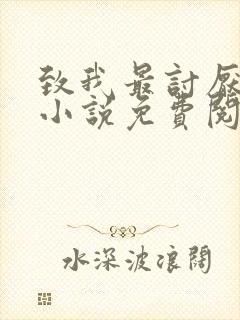 致我最讨厌的你小说免费阅读