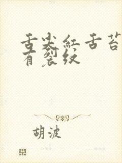 舌尖红舌苔黄腻有裂纹