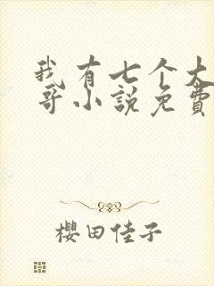 我有七个大佬哥哥小说免费阅读无弹窗