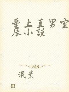 爱上直男室友张辰小说