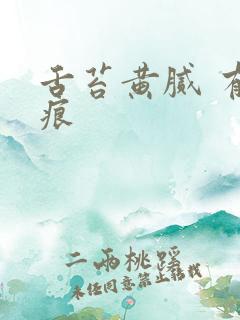 舌苔黄腻 有齿痕