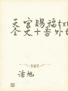 天官赐福txt全文+番外txt下载