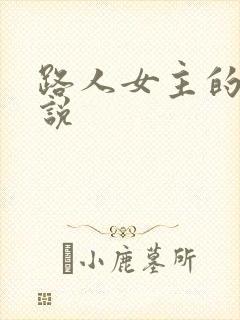 路人女主的 小说