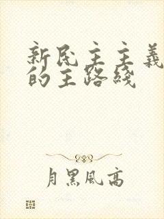 新民主主义革命的主路线