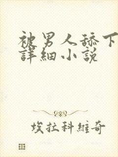 被男人舔下面的详细小说