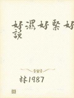 好湿好紧好爽小说