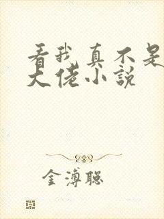 看我真不是女装大佬小说