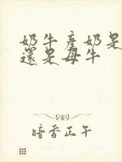 奶牛产奶是公牛还是母牛