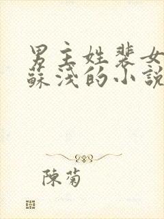 男主姓裴女主叫苏浅的小说