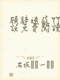 顾辞远苏竹清小说免费阅读最新章节