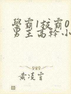 学霸1校霸0双男主高干小说下载