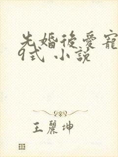 先婚后爱宠妻99式 小说