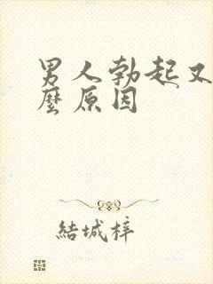 男人勃起又软什么原因