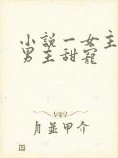 小说一女主多个男主甜宠