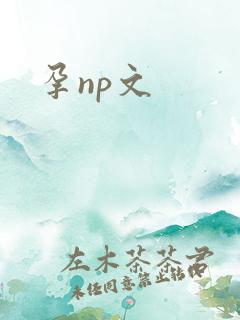孕np文