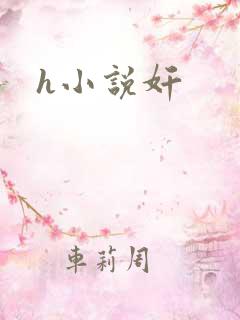 h小说奸