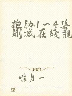 抱胁1～4集无删减在线观看