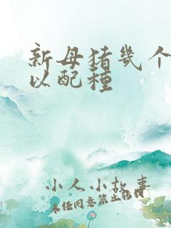 新母猪几个月可以配种