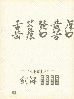 舌苔发黄厚腻有齿痕口苦口臭